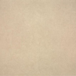 Gạch lát sàn Trường Thịnh CEMENTI BE66125